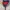 ZARA Vintage Y2K Harrington jacket Pria tan red photo 2