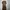 Luxury Muslim Evening dress Wanita brown photo 1