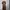 Luxury Muslim Evening dress Wanita brown photo 2