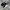 Puma Streetwear Sneakers Pria white black photo 1