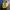 Nike Casual Sneakers Pria yellow photo 2