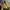 Nike Casual Sneakers Pria yellow photo 3