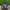 Japanese brand Streetwear Casual T-shirt Pria multicolor photo 5