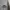 Adidas Vintage Y2K T-shirt Pria gray photo 2