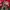 Jerzees Vintage Sweatshirt Pria red photo 4