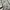 Lafuma Streetwear Casual Windbreaker Pria green photo 5
