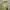 Lafuma Streetwear Casual Windbreaker Pria green photo 4