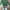 Custo Barcelona Sportswear Casual Sweatshirt Pria green photo 1