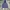 Abercrombie & Fitch Y2K Leather jacket Pria navy photo 1