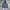Abercrombie & Fitch Y2K Leather Jacket Pria Navy