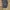 Abercrombie & Fitch Y2K Leather jacket Pria navy photo 4