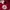 Nike Vintage Sportswear Jersey Pria red photo 6