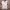 Vintage Sportswear Jersey Pria white photo 1