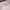 Vintage Sportswear Jersey Pria white photo 6