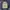 Hollister Streetwear Leather Jacket Pria Navy