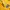 Umbro Vintage Sportswear Jersey Pria yellow photo 6