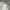 Casual Hoody Pria gray photo 4