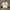 Reebok Vintage Jersey Pria white black photo 1