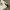 Reebok Vintage Jersey Pria white black photo 4