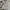 H&M Y2K Skater Sweater Pria tan photo 5