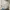 H&M Y2K Skater Sweater Pria Tan