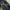 Rip Curl Casual Sunglass Pria gray photo 2