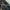 Rip Curl Casual Sunglass Pria Gray