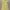 Vintage Casual dress Wanita yellow photo 1