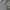 Global Work Streetwear Casual Casual shirt Pria white black photo 4