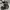 Von Dutch Vintage Skater Hat Pria black photo 2