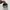 Converse Casual Sneakers Pria white black photo 4
