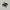 Converse Casual Sneakers Pria white black photo 1