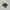 Converse Casual Sneakers Pria green black photo 1