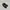 Converse Casual Sneakers Pria green black photo 3