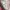 Champion Streetwear Y2K Hoody Pria multicolor photo 5