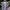 MaxMara Casual Going out dress Wanita multicolor photo 2