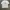 Jean-Michel Basquiat Vintage T-shirt Pria white photo 3