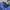 Polo Ralph Lauren Casual Polo shirt Pria blue photo 2