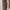 Minimalist Wanita brown photo 3