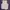 Reebok Sportswear Crop top Wanita white photo 1
