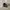 Converse Minimalist Sneakers Pria white black photo 2