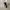 Converse Minimalist Sneakers Pria white black photo 1