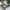 Nike Air Jordan Casual Sneakers Pria white black photo 2