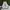 Nike Casual Sneakers Pria white photo 4