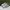 Nike Casual Sneakers Pria white photo 3