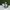 Nike Air Jordan Casual Sneakers Pria white green photo 1