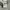 Carhartt Y2K Casual Track jacket Pria gray photo 4