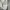 Carhartt Y2K Casual Track jacket Pria gray photo 5