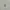 Carhartt Y2K Casual Track jacket Pria gray photo 3