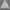 Carhartt Y2K Casual Track jacket Pria gray photo 1